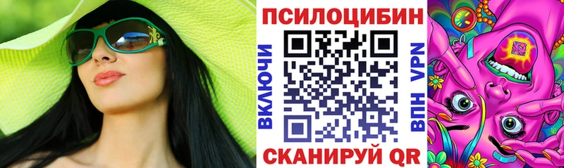 ссылка на мегу ТОР  что такое наркотик  Правдинск  Псилоцибиновые грибы Psilocybine cubensis 