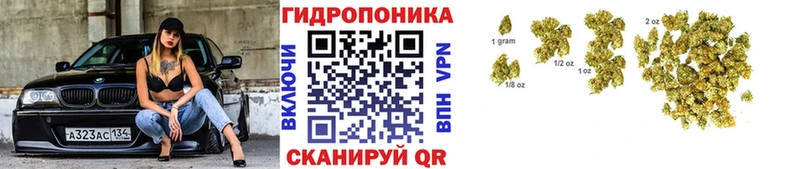 shop какой сайт  Правдинск  Бошки Шишки гибрид 